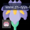 乐鱼体育 logo