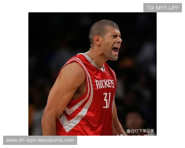 2007年火箭队在NBA比赛中的视频集锦