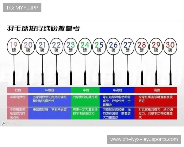 羽毛球和羽毛拍多少元 羽毛球和羽毛拍多少元
